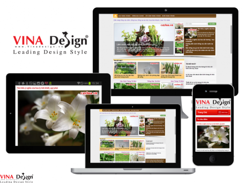 Thiết kế website cẩm nang - caylua.vn
