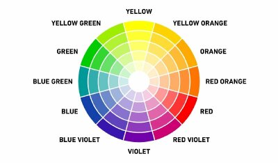 Color scheme là gì? 6 nguyên tắc phối màu trong thiết kế