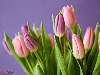 Bí kíp để thiết kế website bán hoa thân thiện và chuyên nghiệp