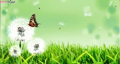 Hình ảnh đẹp về mùa xuân