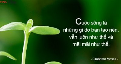 Tự tạo cuộc sống cho mình