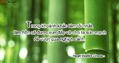 Vượt qua nghịch cảnh