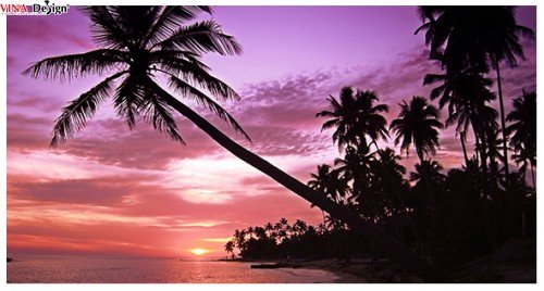 In silk chuyên nghiệp