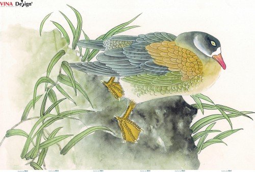 In canvas ở đâu