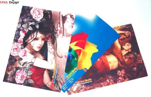 In silk mực nước