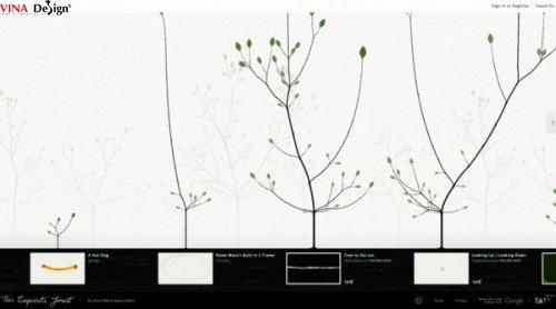 Dich vu thiet ke web