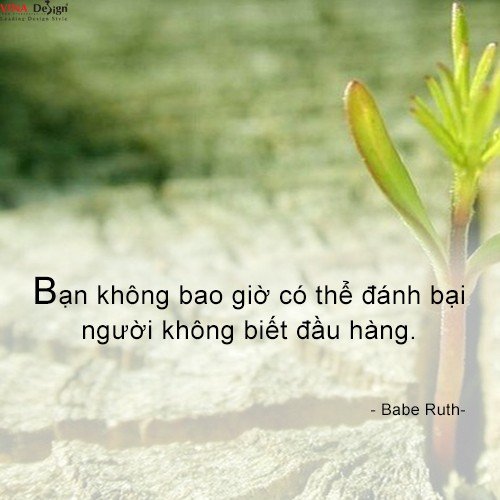 Nguoi khong biet dau hang 2