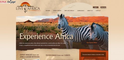 Những mẫu thiết kế website du lịch đẹp ngây ngất