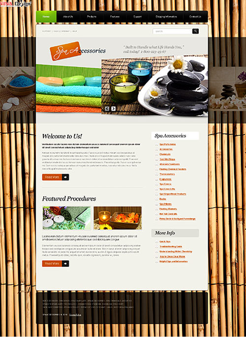 Thiết kế website Spa