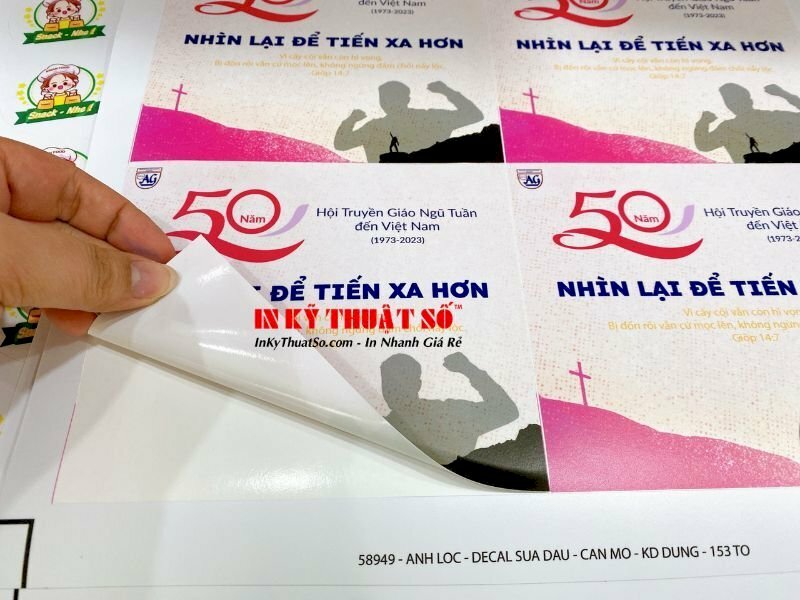 Các loại decal PP phổ biến hiện nay