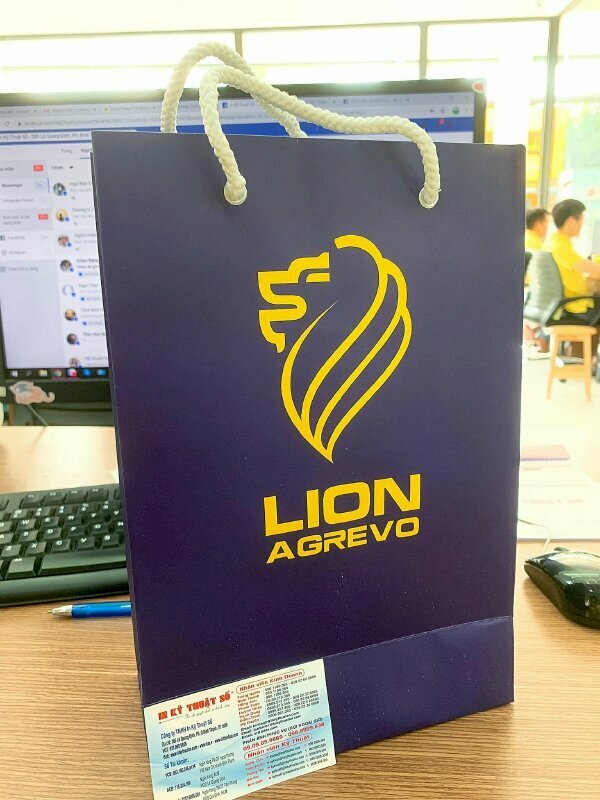 Kích thước túi giấy đứng (dọc)