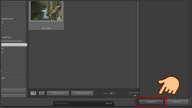 Bước 2: Khi tệp tin ảnh được kéo vào, cửa sổ thêm ảnh sẽ xuất hiện. Chọn "Import" để tải ảnh vào Lightroom.