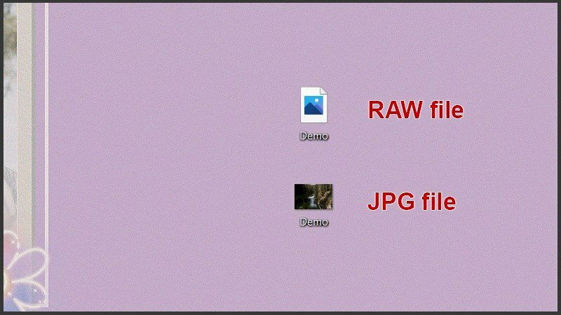 Lightroom sẽ tự động chuyển đổi tệp tin RAW sang định dạng ảnh JPG, cho phép bạn dễ dàng xem trên mọi thiết bị.
