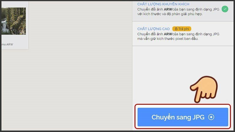Bước 3: Sau khi file RAW đã tải lên hãy bấm > Chuyển sang JPG