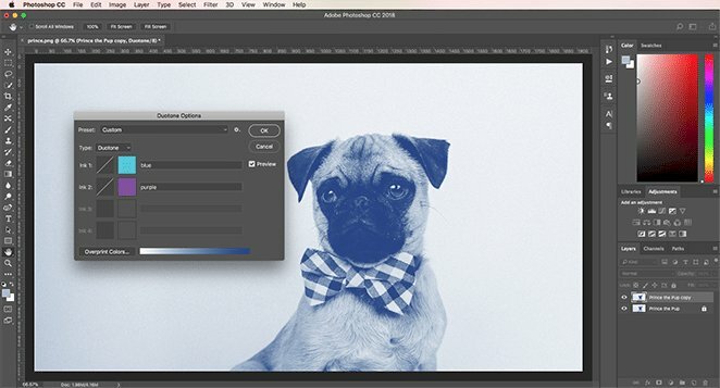 Bước 4: Thiết lập màu sắc Duotone