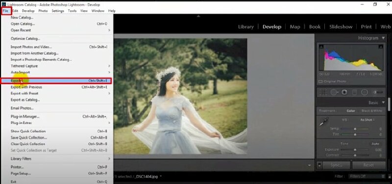 Bước 2: Nhấn vào "File" > Chọn "Export" hoặc sử dụng tổ hợp phím Ctrl + Shift + E.