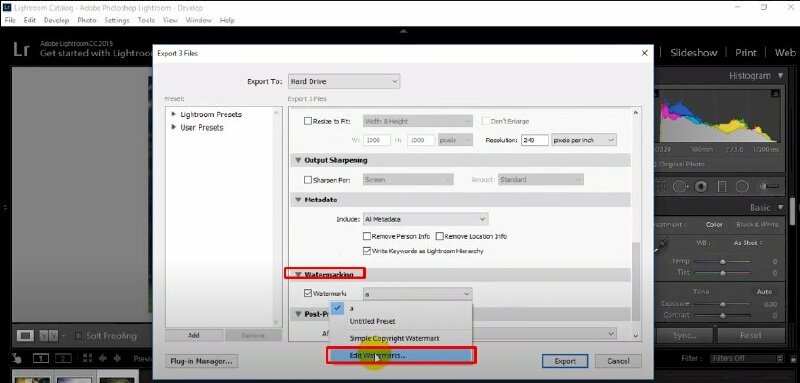 Bước 3: Trong cửa sổ Export, kéo xuống để tìm mục "Watermarking" > Sau đó, nhấn vào biểu tượng nút thả xuống và chọn "Edit Watermarks..."