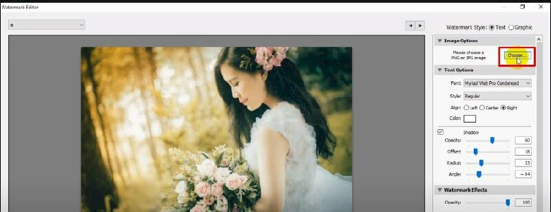 Bước 4: Để chèn logo vào hình ảnh, trong phần "Image Options" ở góc trên bên phải, nhấp vào "Choose..." > Chọn tệp logo mà bạn muốn chèn vào hình ảnh (đảm bảo rằng tệp logo có định dạng PNG hoặc JPG) > Chọn xong logo và nhấn "Choose".
