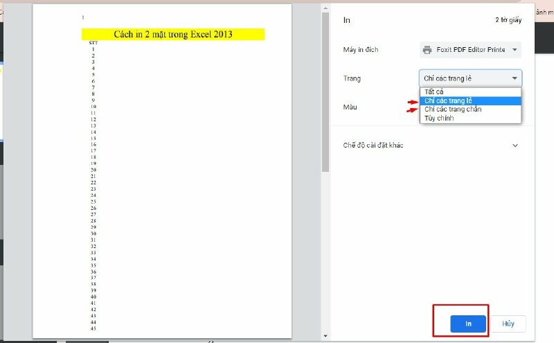Bước 3: Bấm tiếp vào Trang (Page) để thiết lập in trang lẻ hoặc in trang chẵn rồi bấm Print (In) để hoàn tất.