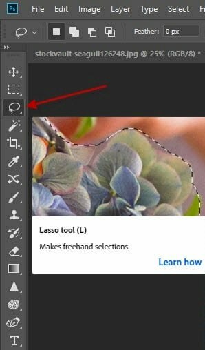 Bước 2: Chọn công cụ Lasso Tool hoặc nhấn phím L.