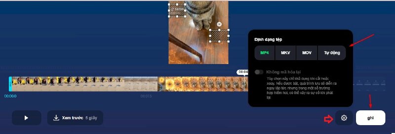 Bước 4: Sau khi chọn xong tất cả các vị trí có logo trên video mà bạn muốn xóa, bạn có thể chọn Định dạng tệp để tải về có thể là MP4, MKV, MOV,... > Xong hãy bấm vào nút Ghi ở góc dưới bên phải màn hình.
