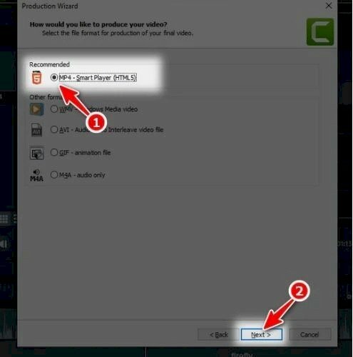 Bước 3: Chọn định dạng xuất video là MP4 - Smart Player (HTML5) để đảm bảo video có thể chạy trên nhiều nền tảng. Bạn cũng có thể chọn các định dạng khác như WMV, AVI, GIF hoặc M4A (chỉ âm thanh).
