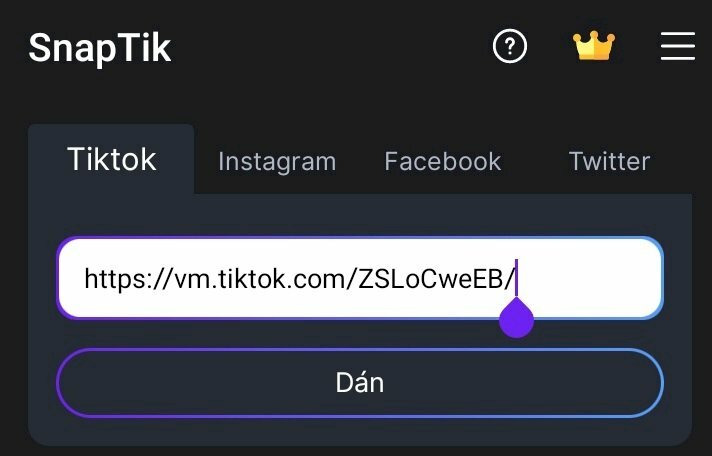 Bước 4: Mở SnapTik và dán link video vào thanh download.