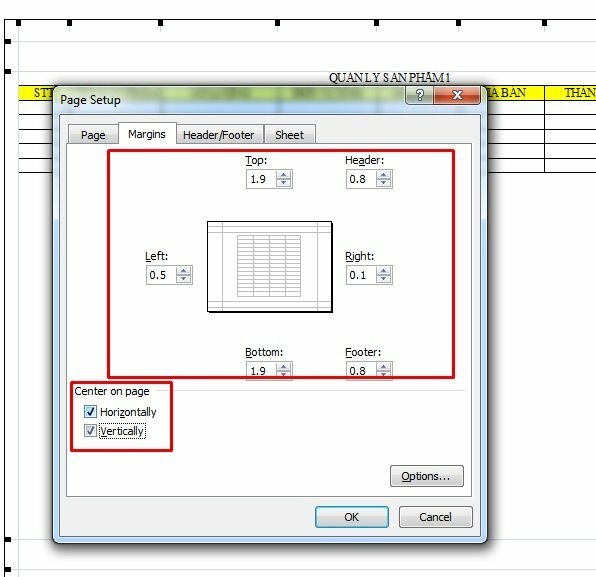 Bấm qua tab Margins để căn lề trang in theo mong muốn của bạn. Để đưa nội dung vào giữa trang hãy chọn Horizontally và Vertically ở mục Center on page. 