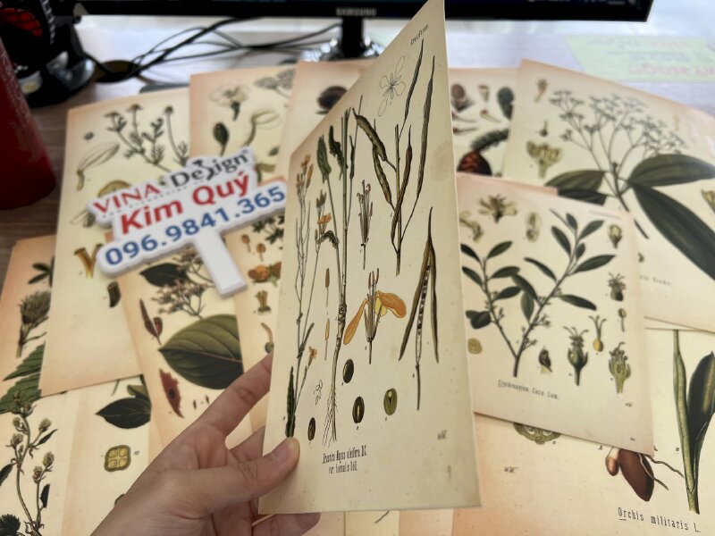 In tranh minh họa thực vật Botanical Art trên giấy mỹ thuật N05 màu kem - VND302