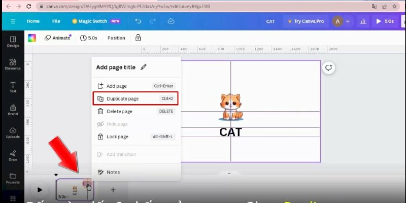 Bước 10: Sau khi đã thực hiện xong bạn hãy xuống phần này, bấm vào dấu ba chấm của trang > chọn Duplicate page.