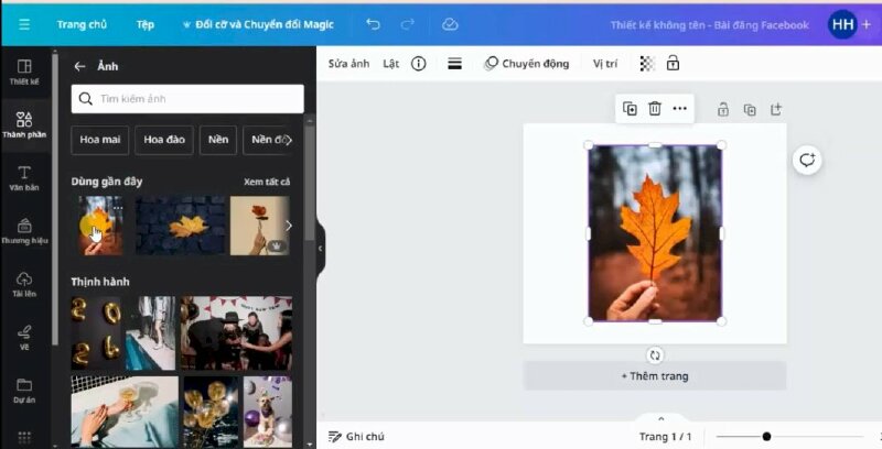 chọn tấm ảnh để đưa vào thiết kế.