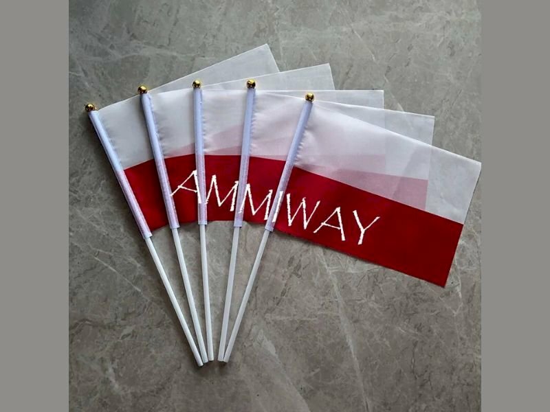 In logo cờ cầm tay, cờ vẫy