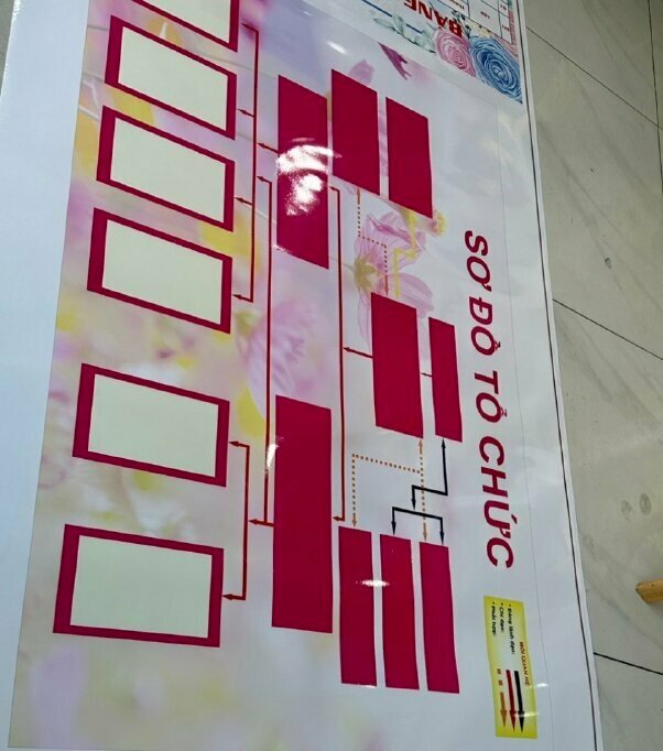 Sơ đồ tổ chức