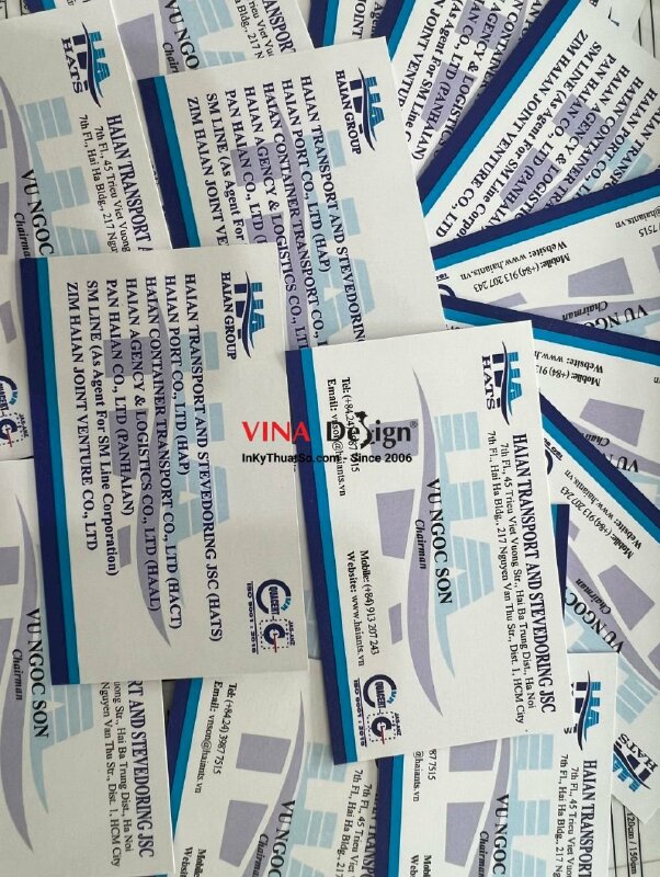 In name card kỹ thuật số - VND06