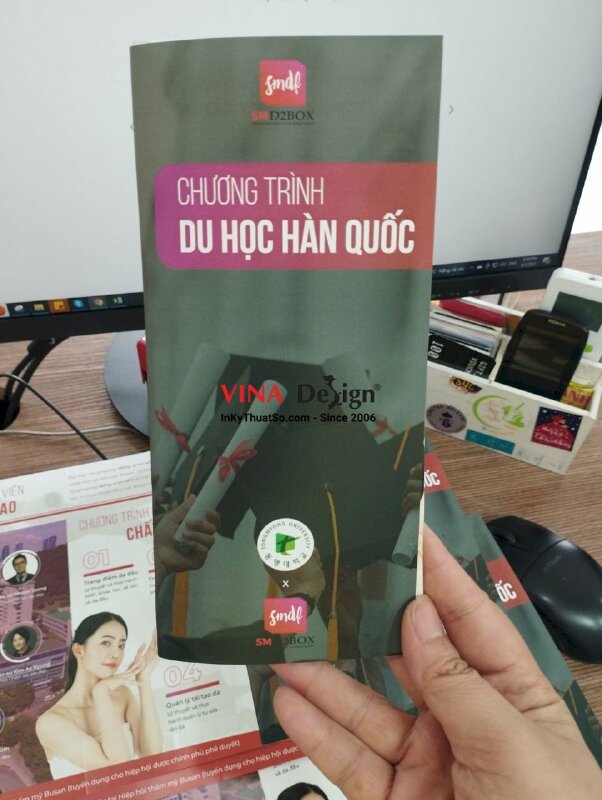 In tờ rơi du học - VND24