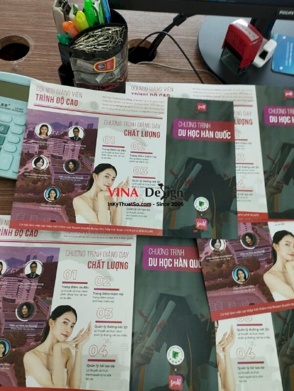 In tờ rơi du học - VND24