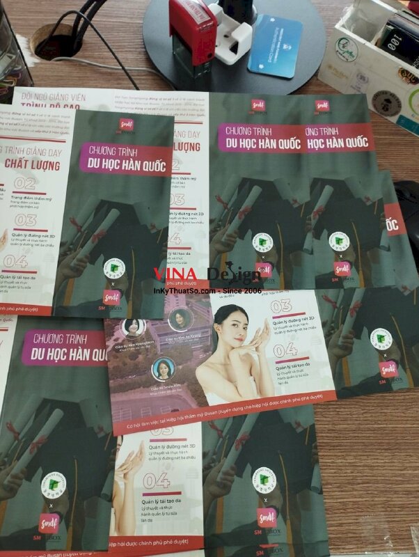 In tờ rơi du học - VND24